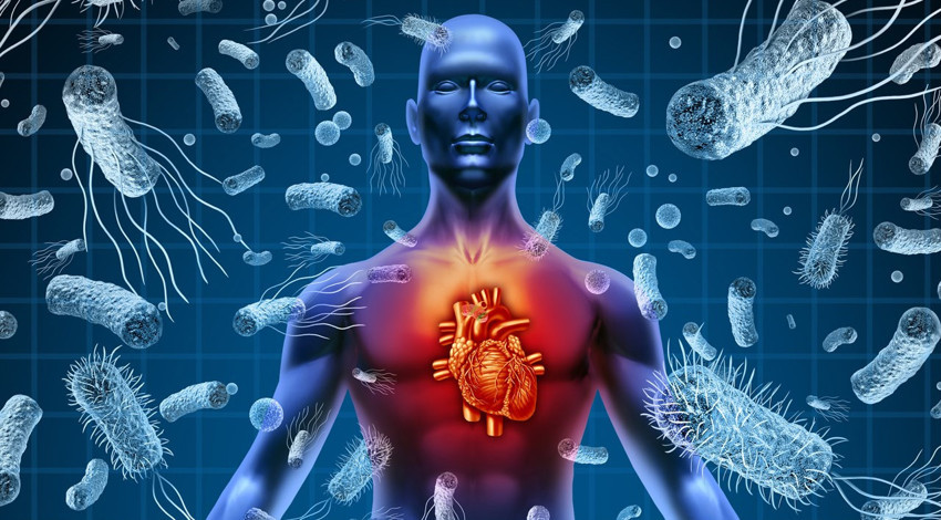 Dünyada her 5 can kaybından 1'inin sebebi! Uzmanlar milyonları öldüren sepsise karşı uyarıyor: Bu hataları sakın yapmayın