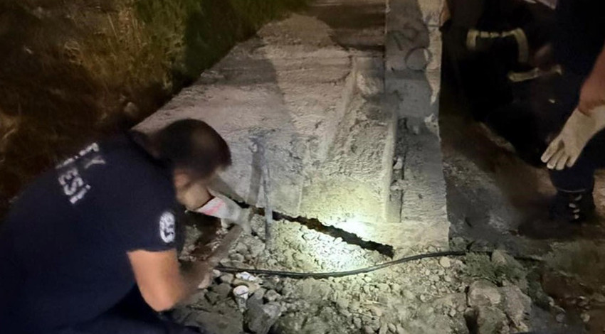 Hatay’da beton boruda mahsur kalan hayvan uzun uğraşlarla kurtarıldı