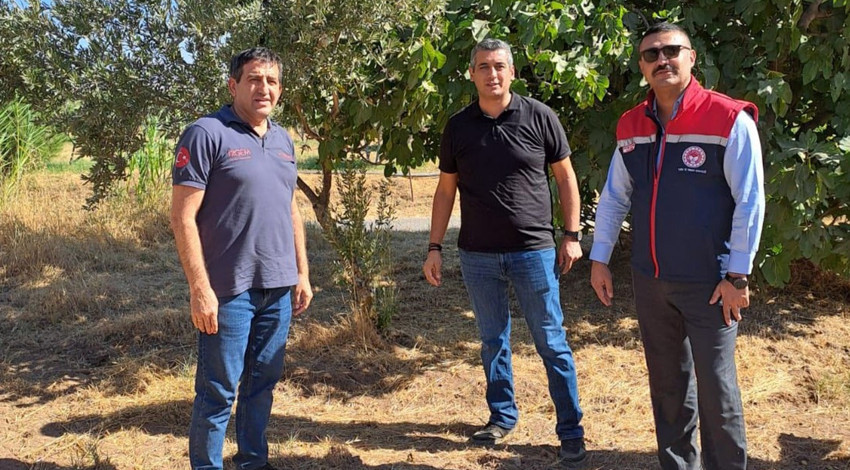 Aydın'da tarımsal zararlılara karşı sahaya indiler! Sorunlar teker teker yerinde incelendi