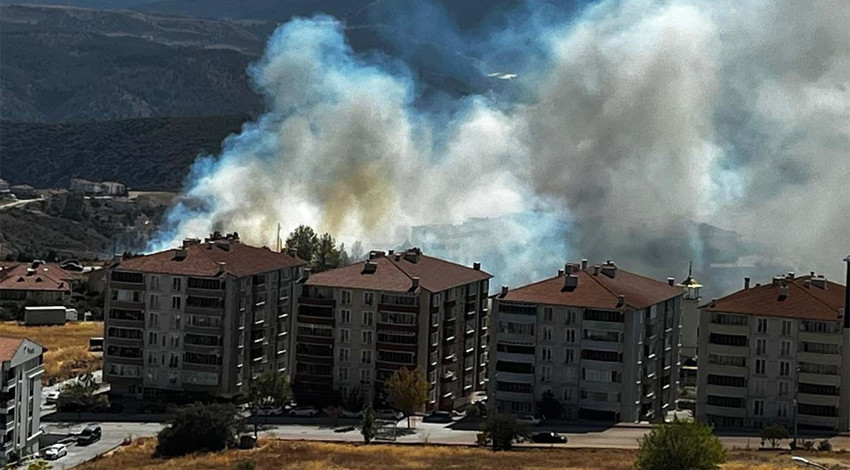 Onlarca dönüm makilik alanı kül ettiler! Pes dedirten ihmal