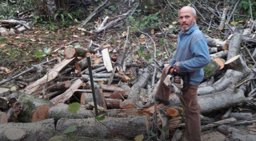 Rize'de feci olay! Kestiği ağacın altında kalıp öldü