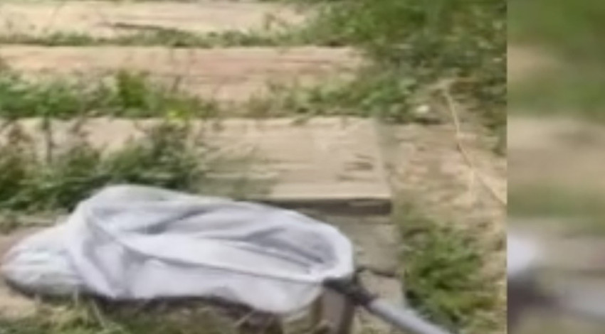 Bilecik'te uzunluğu ve kalınlığıyla korkuttu! Bakın o hayvan ne çıktı