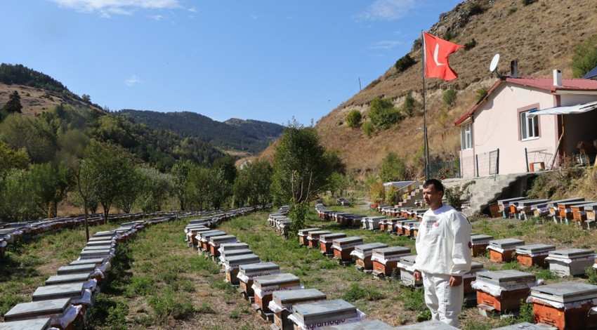 Erzurum’da arılarına dünyada eşi benzeri olmayan akıl almaz bir beceri öğretti! Görenler şaşkınlıklarını gizleyemedi.