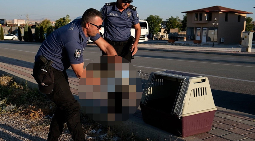 Karaman’da yol kenarında bitkin ve çaresiz halde bulundu! Görünmeyen o detay yürek sızlattı