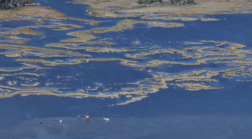 Muğla’nın Dalyan Kanalı ekimde turist akınına uğradı! Labirenti andıran güzellik büyüledi