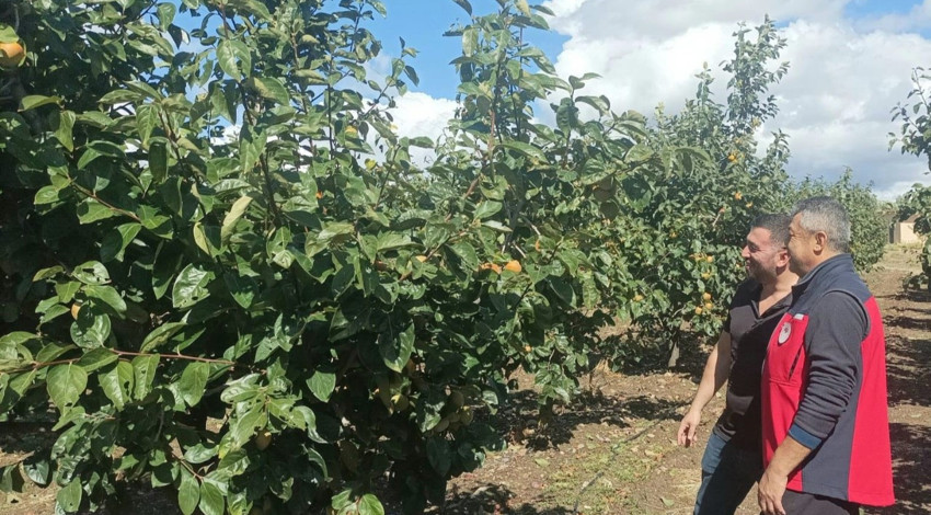 Çanakkale’de dolu yağışı tarım arazilerini vurdu! ekipler sahada hasar tespiti yaptı
