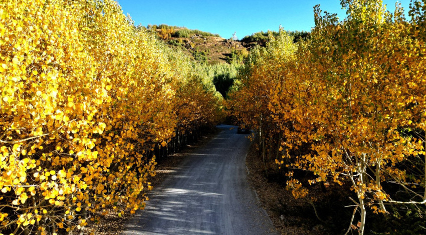 Bitlis’te sonbahar büyüledi! Nemrut Dağı renk cümbüşüne sahne oldu