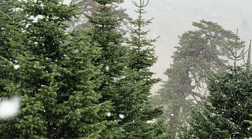 Bolu'nun yüksek kesimlerine kar yağdı