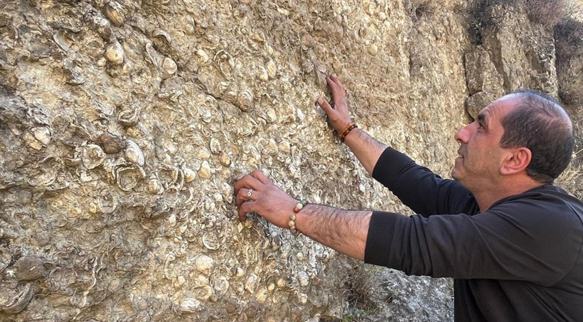 Dağların kalbinde deniz izleri! Erzurum’da 200 milyon yıllık fosil heyecanlandırdı