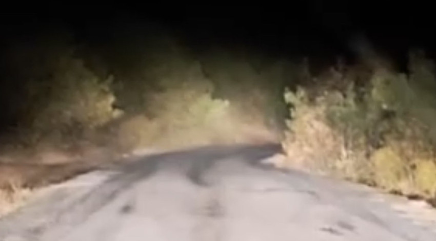 Bitlis’te 1 değil 2 değil onlarcası aracın yolunu kesti! O anlar cep telefonuyla kayda alındı