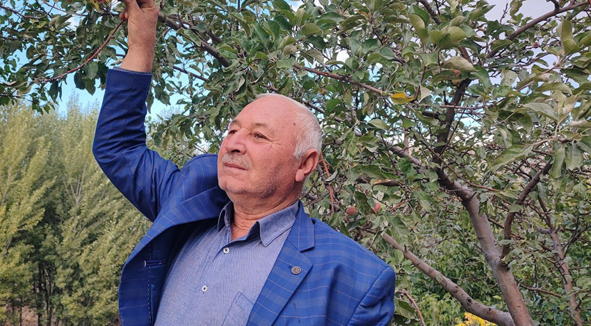 Yozgat’ta doğa tersine döndü! 60 yıllık çiftçi: "İlk kez böyle bir şey görüyorum"