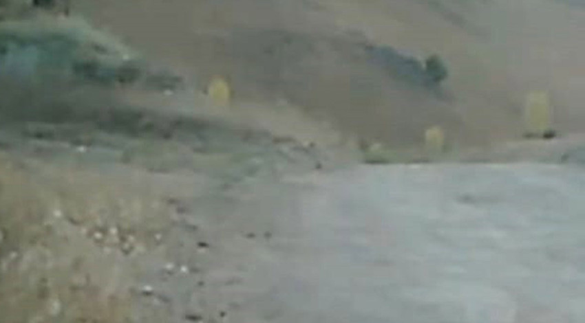 Tunceli’nin dağlık bölgelerine yerleştirilen fotokapanlar doğanın gizli hayatını ortaya çıkardı