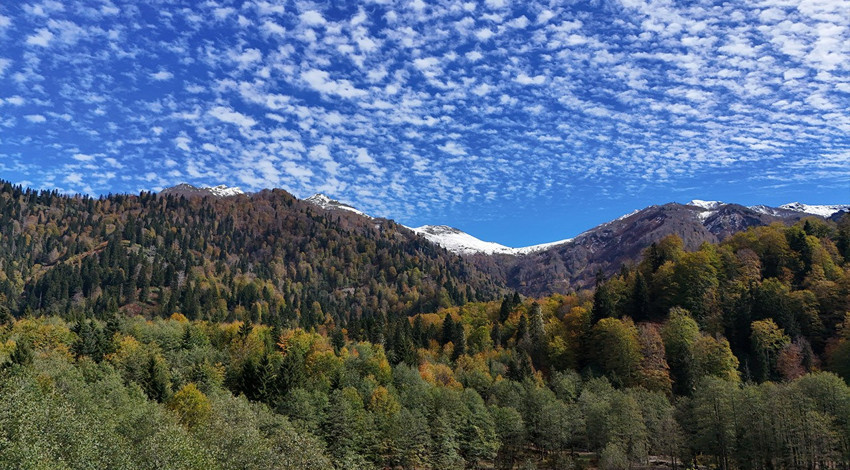 Artvin’de sonbahar büyüsü! Borçka Karagöl’de doğa tüm renkleriyle sahnede
