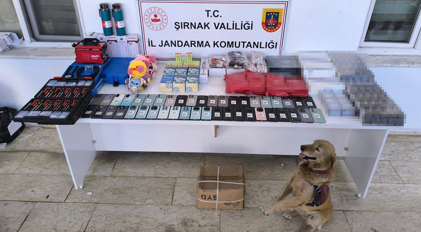 Şırnak'ta kaçakçılık operasyonu: 3 kişi tutuklandı