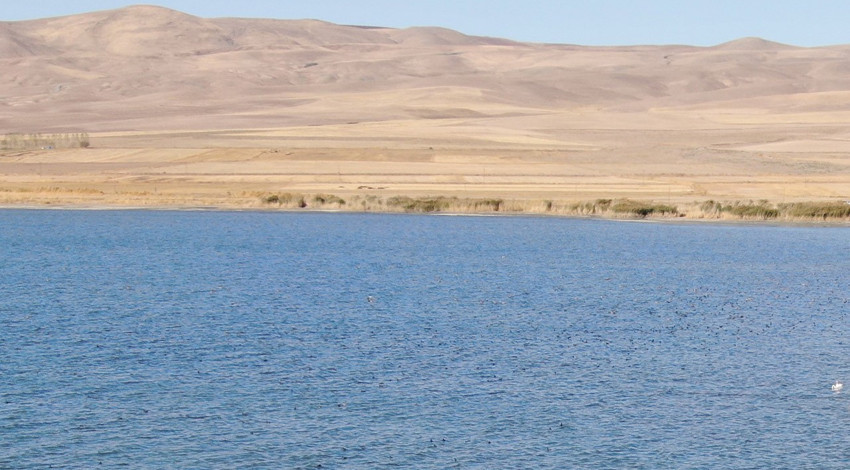 İran’daki göl kuruyunca yönlerini değiştirdiler! Van Gölü havzası onlarla doldu taştı