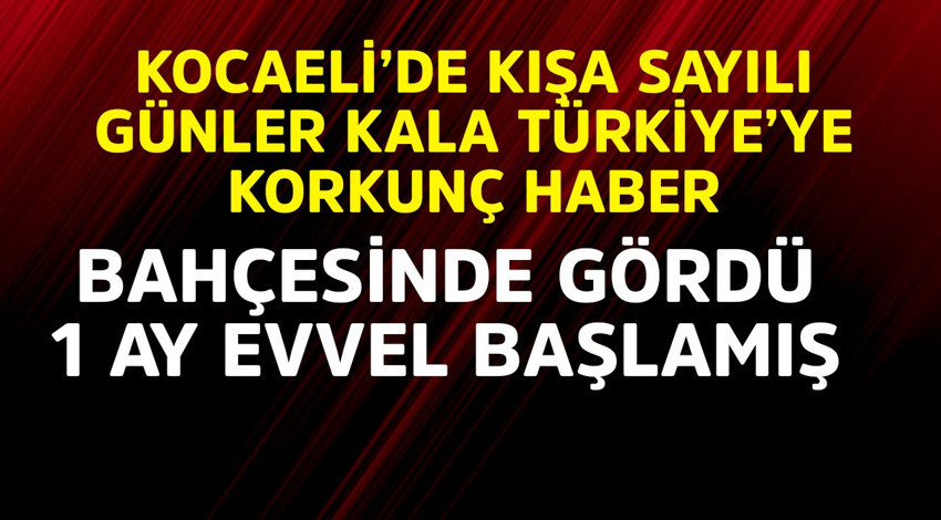 Kocaeli'de kış aylarına sayılı günler kala Türkiye'ye korkunç haber! Bahçesinde gördü, 1 ay evvel başlamış