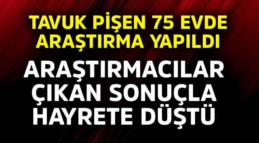 Tavuk pişen 75 evde inceleme yapıldı. Araştırmacılar çıkan sonuç karşısında hayrete düştü