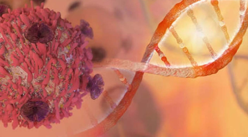 Kan kanseri tedavisinde yeni dönem