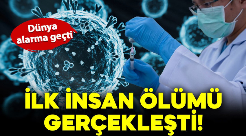 Dünya alarma geçti: H5N5 virüsü dünyada ilk kez can aldı!