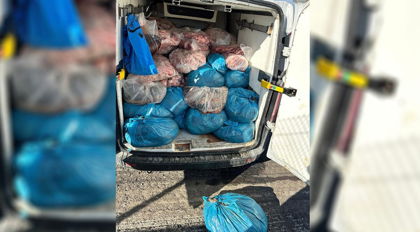 Tekirdağ'da kaçak sakatat operasyonu: 2 ton ele geçirildi