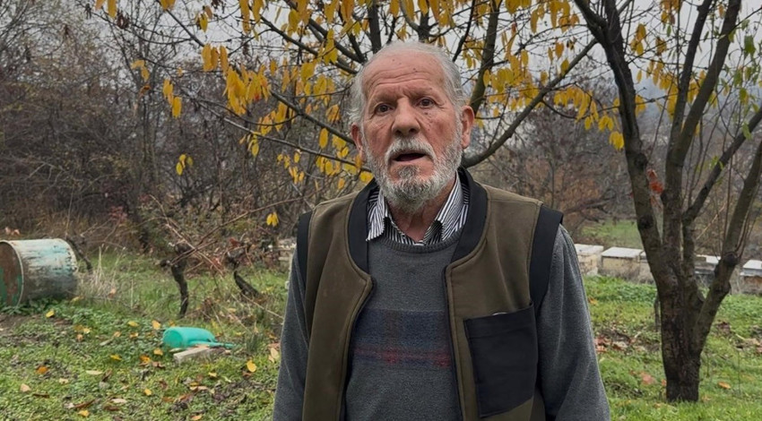 Bursa'da felaket! Milyonlarca arı öldü