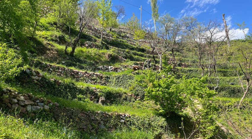62 yıllık destan: 2 dönüm arsayı 8 dönüme çıkardı! Yamacı taş taş işleyerek mirasa dönüştürdüler