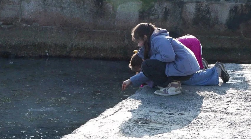 Kabus Moda sahiline ulaştı! Uzmanlardan korkutan açıklama geldi: "Bu mevsimde kesinlikle normal bir durum değil” - Resim : 1