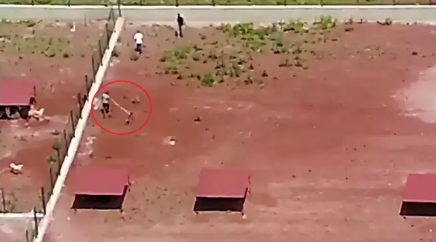 Hayvan barınağındaki şiddet dron kamerasıyla kaydedildi: O anlar büyük tepki topladı! - Resim : 2