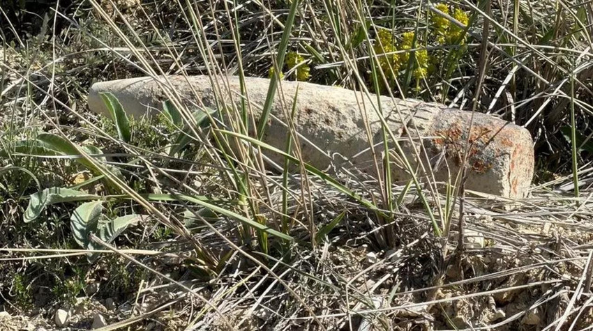 Ankara'da mantar ararken &ouml;l&uuml;mle burun buruna geldi! Taşırken son anda fark etti! - Resim : 1