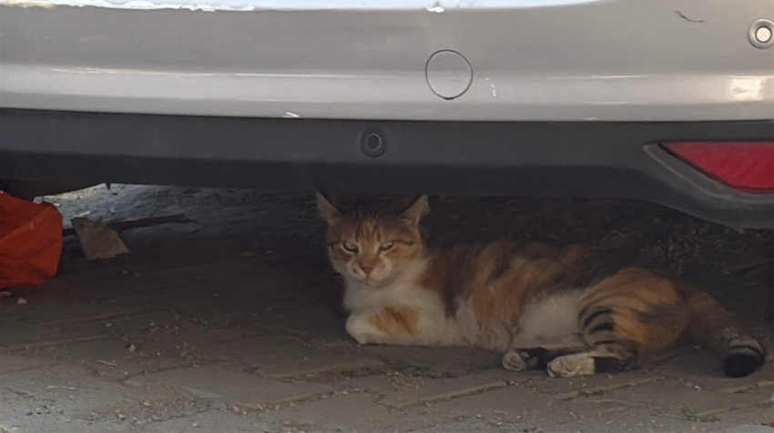 Kağıthane'de bir binanın balkonu çöktü! Bina tahliye edildi - Resim : 3