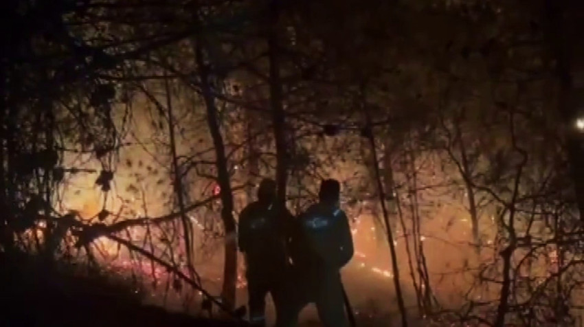 Alev çemberinin içinden geçtiler: Nefes kesen o anlar kameraya yansıdı! - Resim : 1