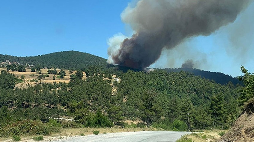 Çanakkale ve İzmir'de orman yangını