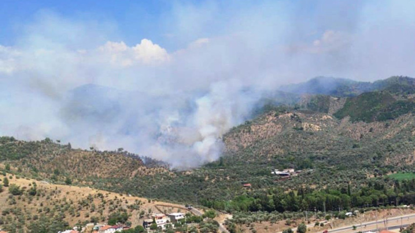 Milas’ta orman yangını