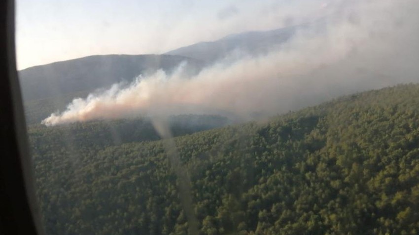 İzmir Karaburun'da orman yangını çıktı