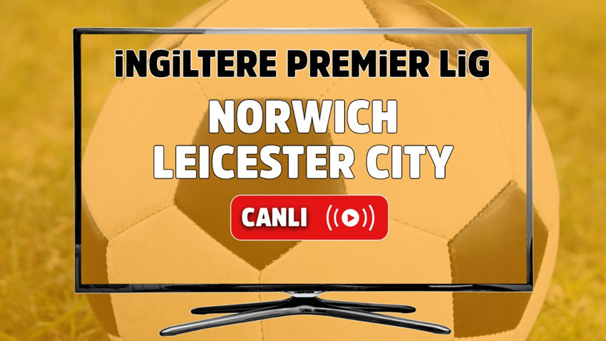 Brighton – Everton Maçı Canlı maç izle I İngiltere Premier Lig
