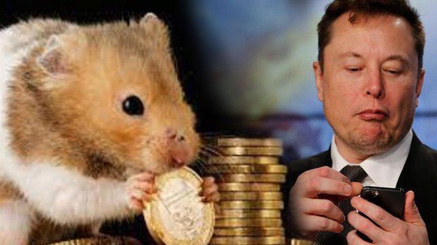 Elon Musk'ın Hamster Coin duyurusu piyasayı karıştırdı