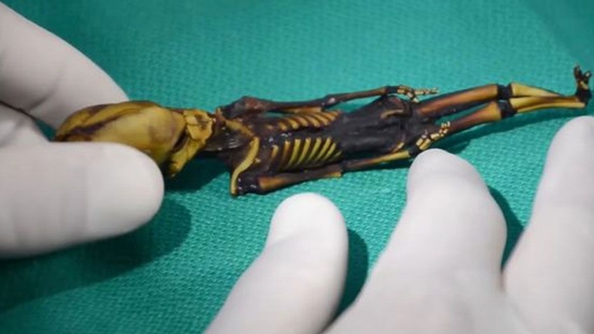 Bilim dünyası şokta! Mumyalanmış 'uzaylı' iskeletin gizemi seneler sonra çözüldü - Resim: 3