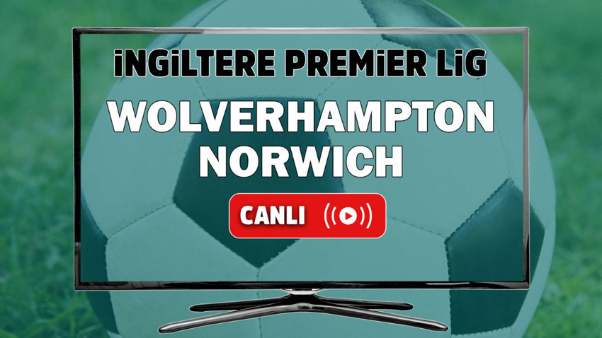 Wolverhampton Norwich canlı izle