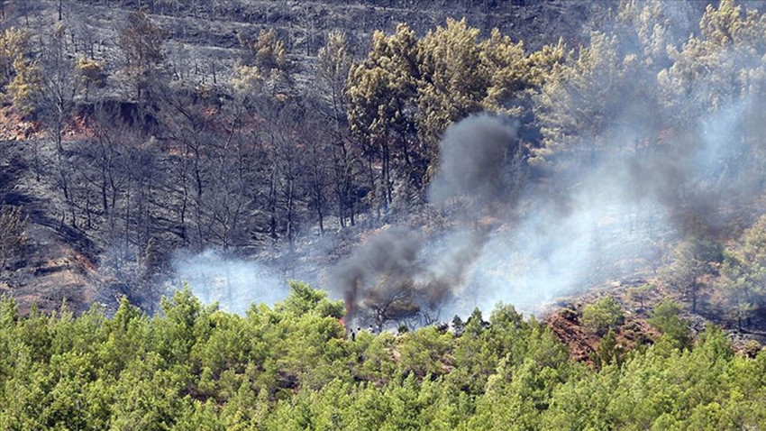 Fethiye'de yıldırım düştü orman yangını çıktı