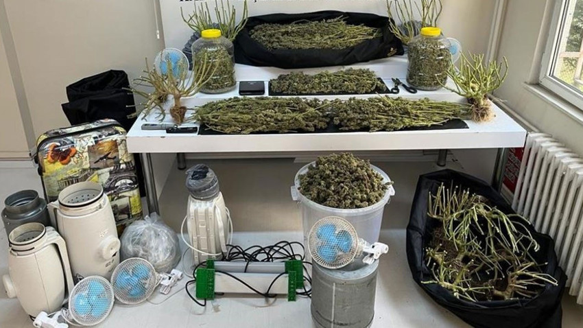 Evi uyuşturucu imalathanesine çevirdi: 10 kilo marihuana ele geçirildi