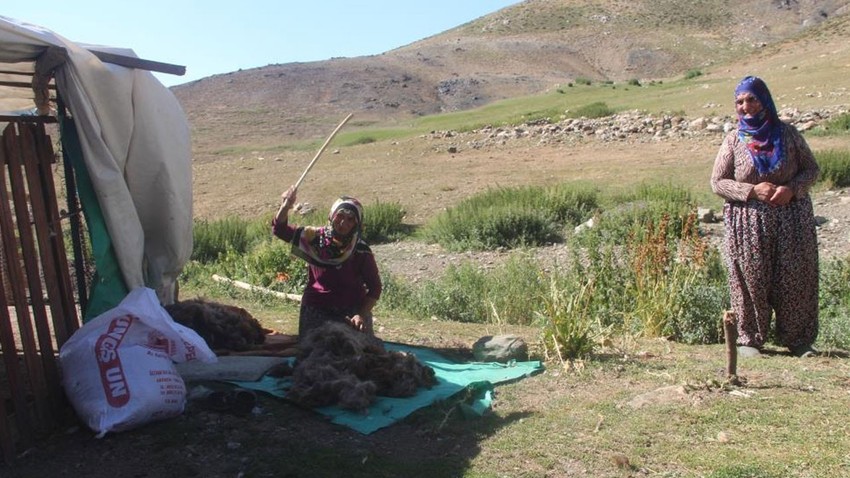 Elazığ'da 2 bin 500 rakımda ekmek paralarını çıkarıyorlar