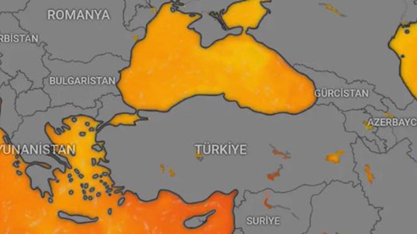 Türkiye'de İstanbul, Kocaeli, Balıkesir, İzmir, Antalya ve Hatay diyerek durum aynı. Son tablo ürkütücü. Bir türlü kendine gelmiyor