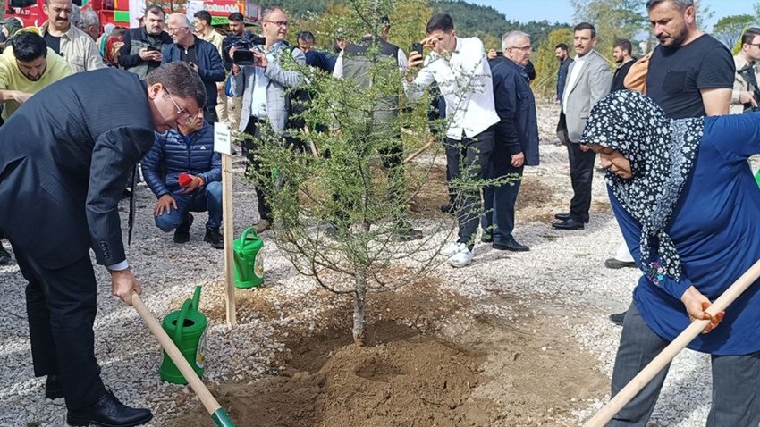 Patlamada şehit olan 43 madenci hatıra ormanında yaşatılacak