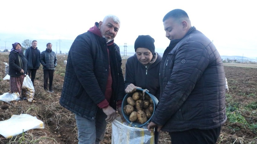 Türkiye'nin bütün bölgelerine Sandıklı'dan patates gidiyor. Bu yıl ikinci dönem ekimi yapılan patateslerin hasadında sona gelindi