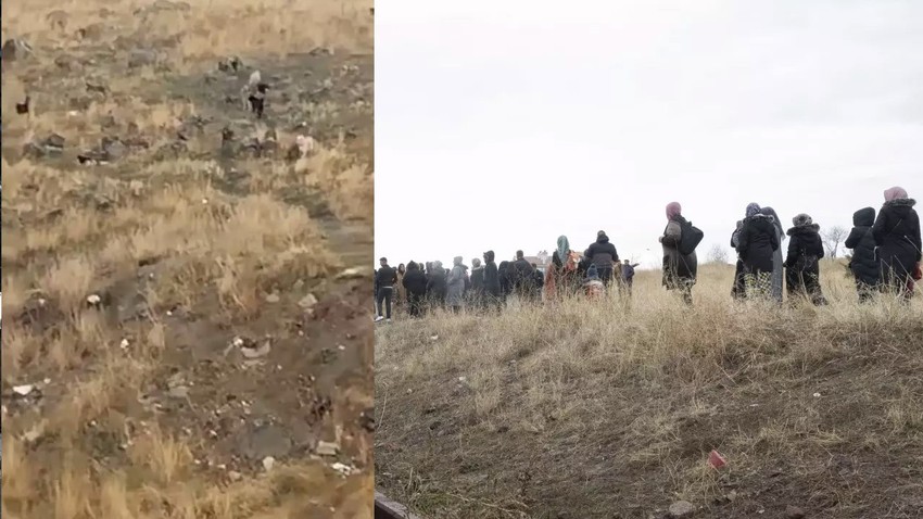 Yine başıboş köpek sorunu! Okula giden küçük çocuk, çok sayıda sokak köpeğinin saldırısına uğradı!