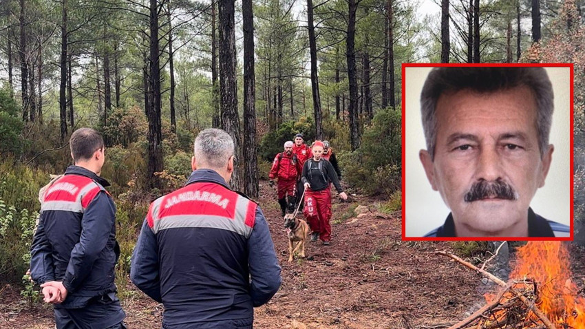 Mantar toplamaya çıktığı dağda kayboldu, 4 gündür haber yok! 100 kişilik arama ekibi bir iz peşinde