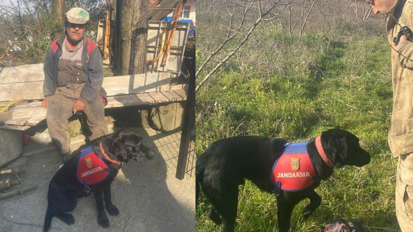 Zonguldak'ta zihinsel engelli adam kaybolunca, iz takip köpeği sayesinde bulundu!