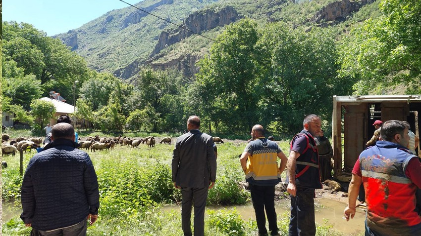 Yüzlercesi yola saçıldı! Onlarcası öldü!