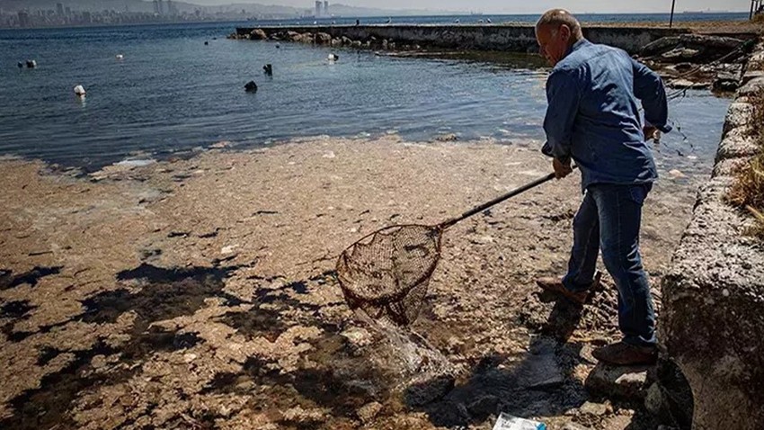 Marmara Denizi alarm veriyor! "Artan kirlilik ve denizdeki ısınma oksijensizliği artırıyor"