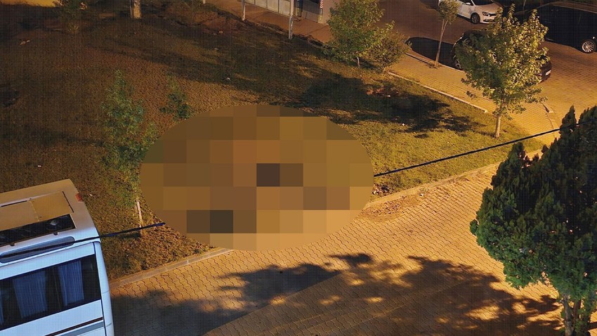 Muğla'da ormanlık alandan çıkıp turistik ilçeye kadar geldiler. Aç kalan canlılar, sürü halinde şehir merkezinde görüntülendi
